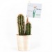 Miniatura del producto Cactus personalizable en una olla de madera 1