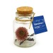 Miniatura del producto Botella de flores secas 1