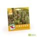 Miniatura del producto Semillas de cactus de promoción en bolsas 0