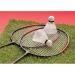 Miniatura del producto Juego de bádminton 4