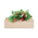 Miniatura del producto Semillas de fresa en una caja de madera 3