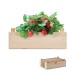 Semillas de fresa en una caja de madera regalo de empresa
